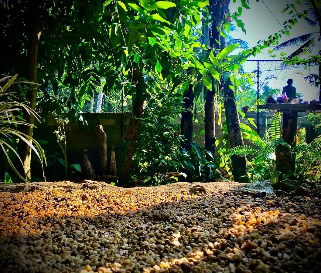 Villa Earth House Sri Lanka Neboda Exterior foto